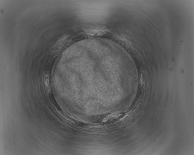 X0000073731396200608171217