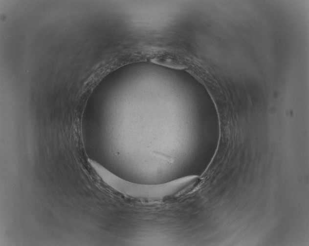 X0000073731397200608171217