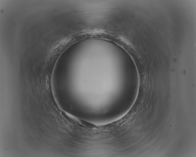 X0000073731398200608171217