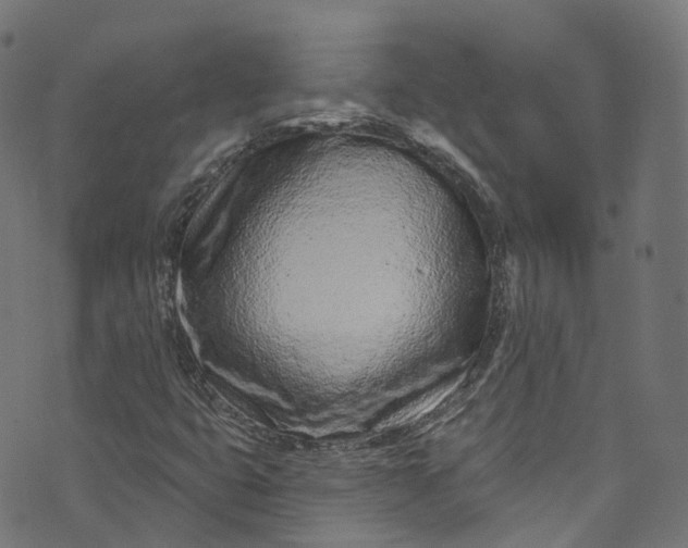 X0000073731399200608171217