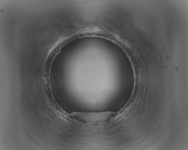 X0000073731400200608171217