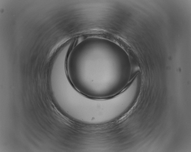 X0000073731402200608171217