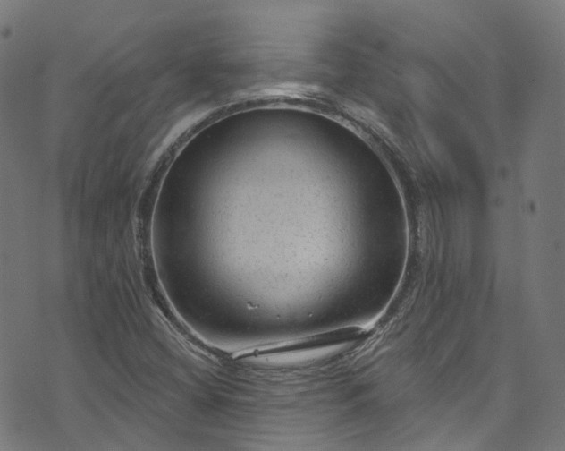 X0000073731404200608171217