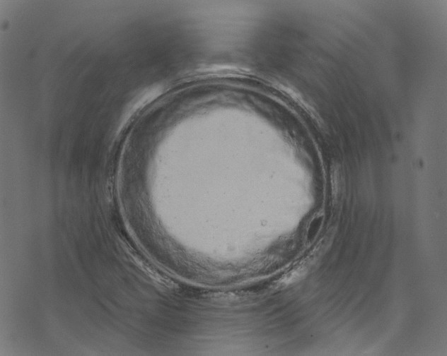 X0000073731405200608171217