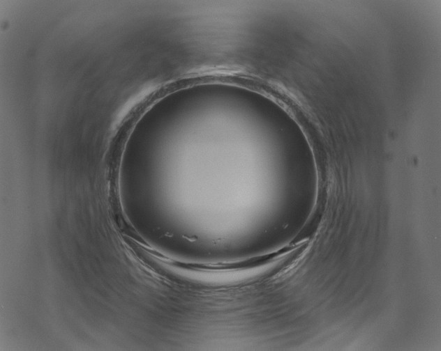 X0000073731406200608171217