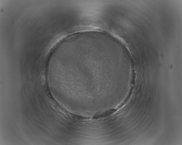 X0000073731407200608171217