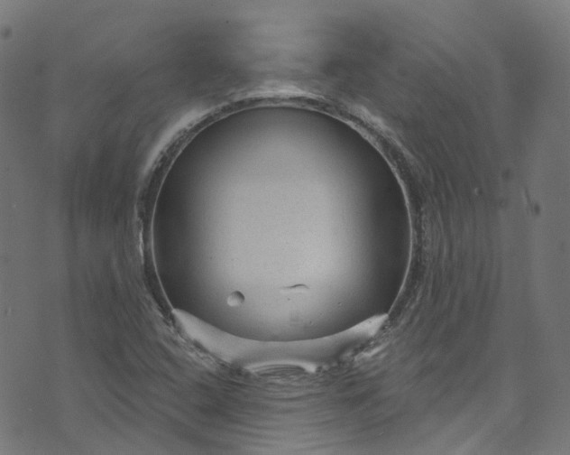 X0000073731408200608171217