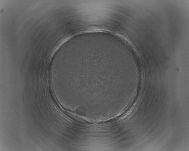 X0000073731409200608171217