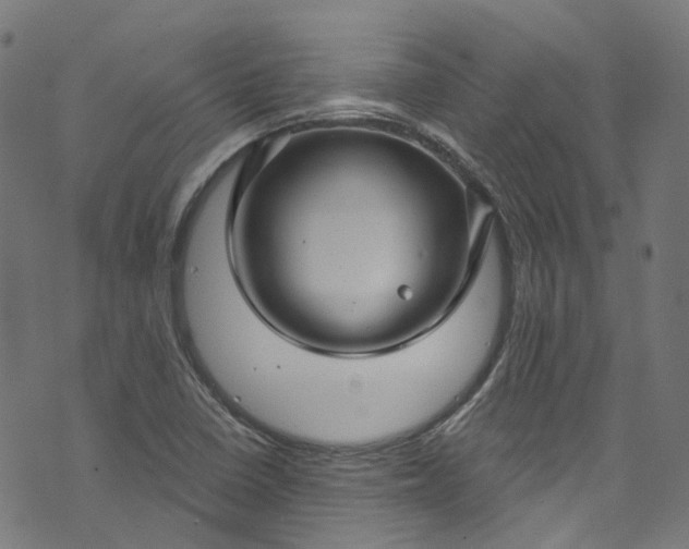 X0000073731410200608171217