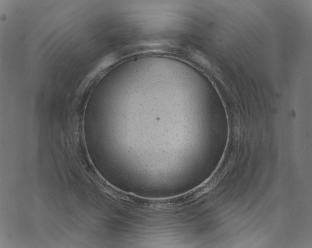 X0000073731411200608171217