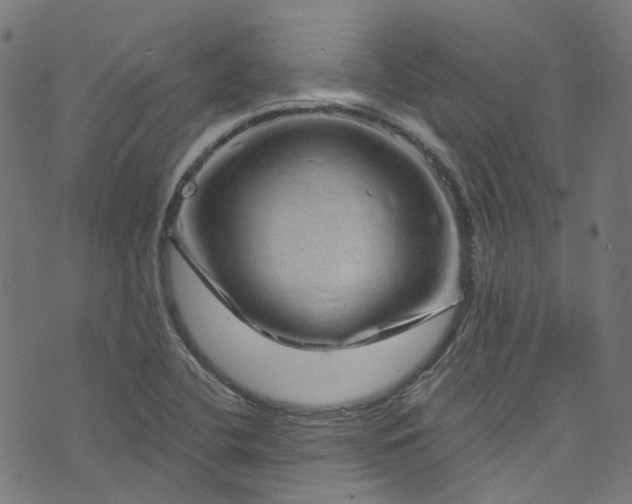 X0000073731412200608171217