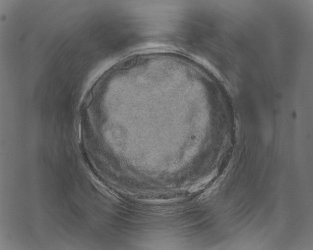 X0000073731413200608171217