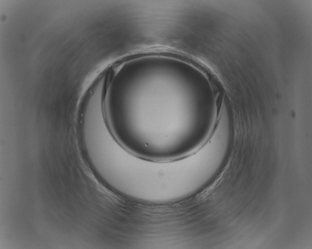 X0000073731414200608171217