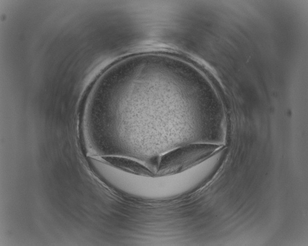 X0000073731415200608171217