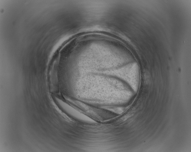 X0000073731416200608171217