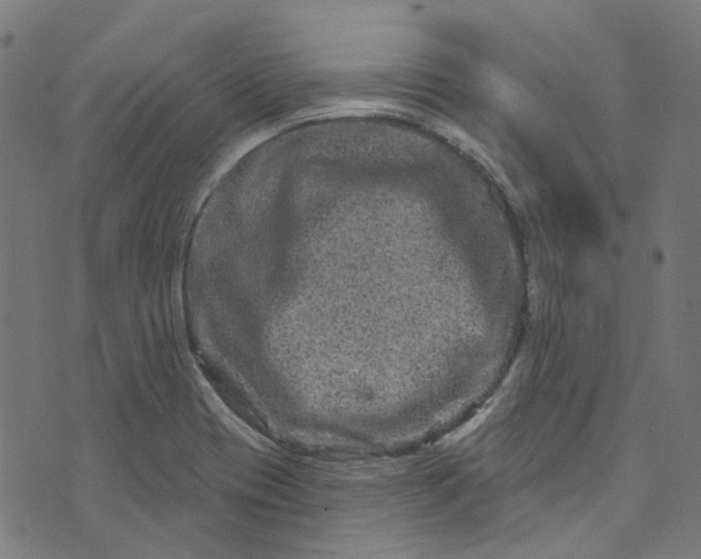 X0000073731417200608171217