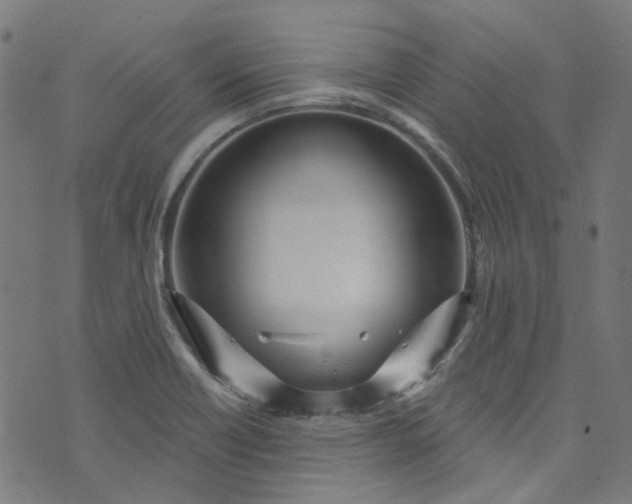 X0000073731418200608171217