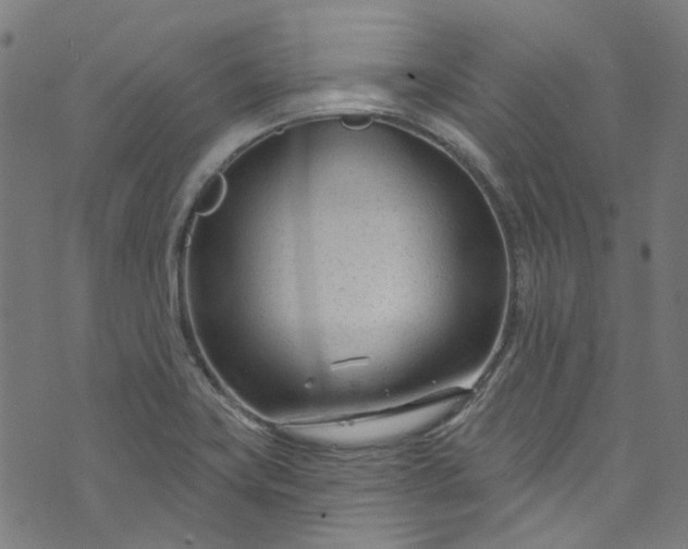 X0000073731419200608171217