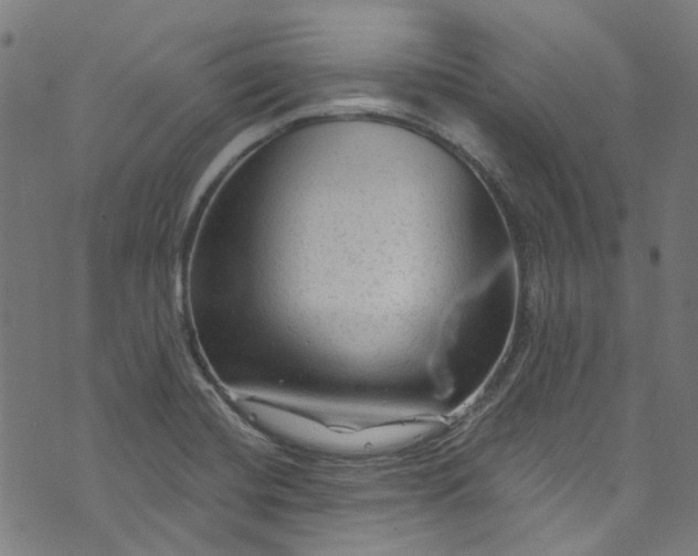 X0000073731420200608171217