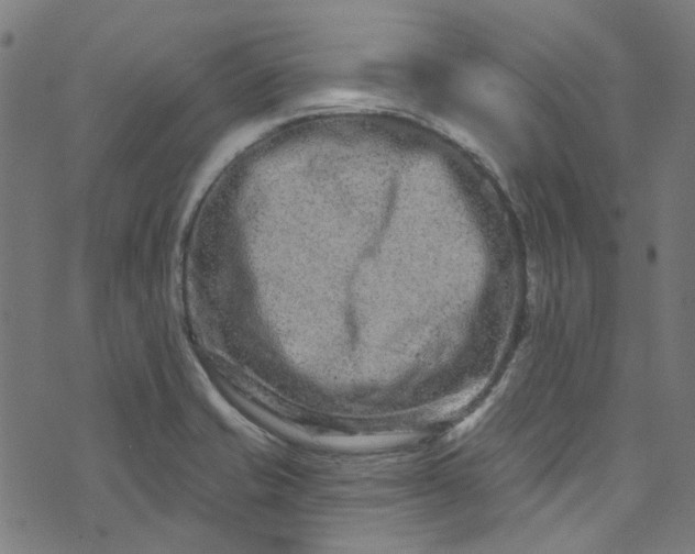 X0000073731421200608171217