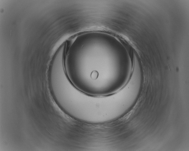 X0000073731422200608171217