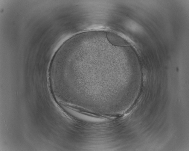 X0000073731423200608171217