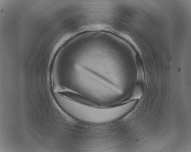 X0000073731424200608171217