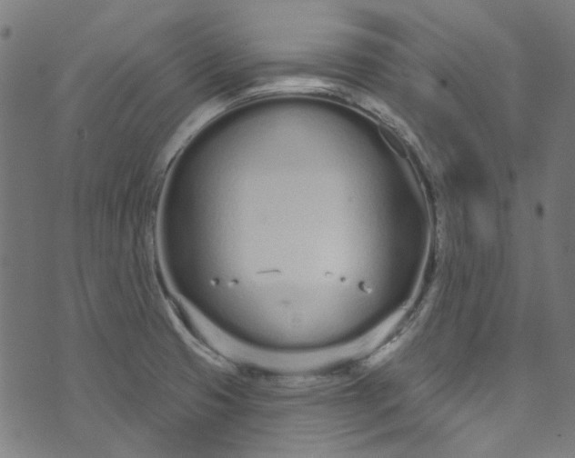 X0000073731425200608171217