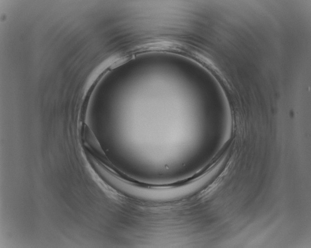 X0000073731426200608171217