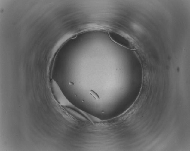 X0000073731427200608171217