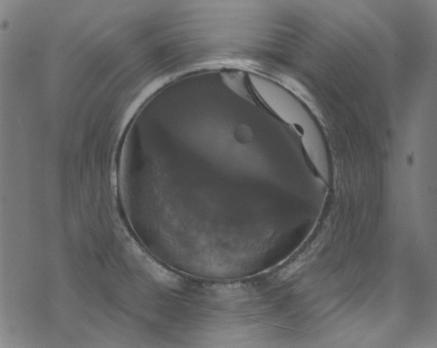 X0000073731428200608171217