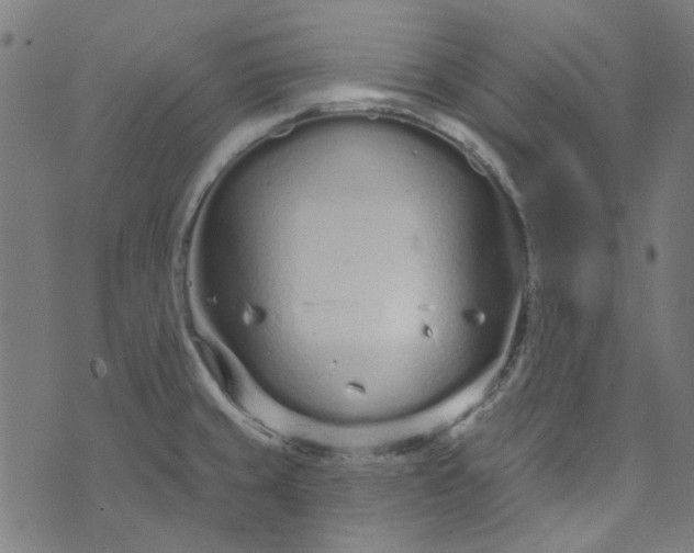 X0000073731429200608171217