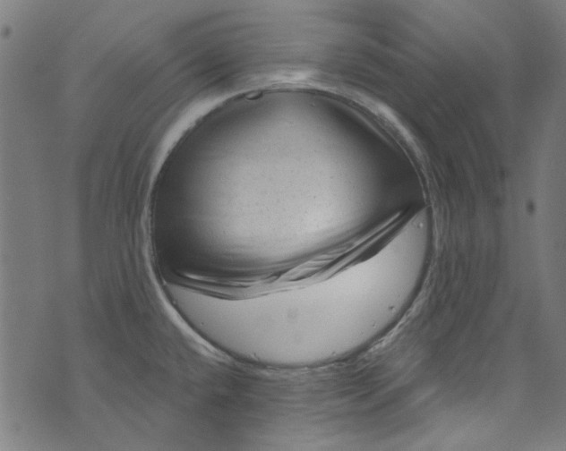 X0000073731432200608171217