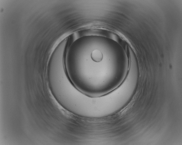 X0000073731434200608171217