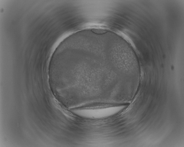 X0000073731435200608171217