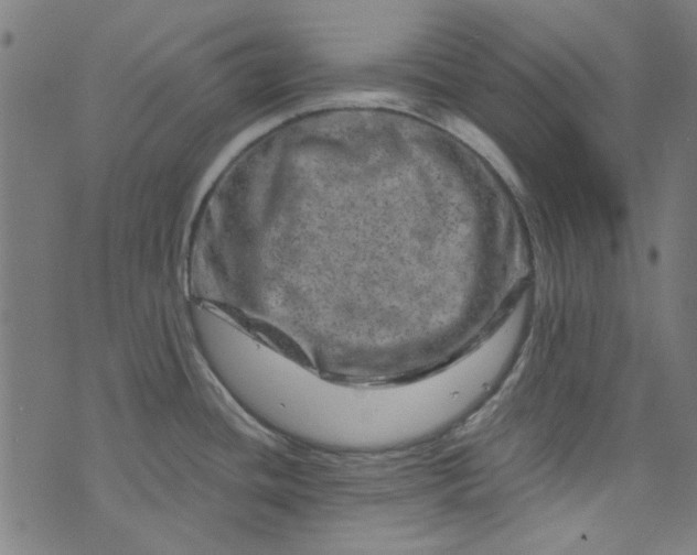 X0000073731436200608171217