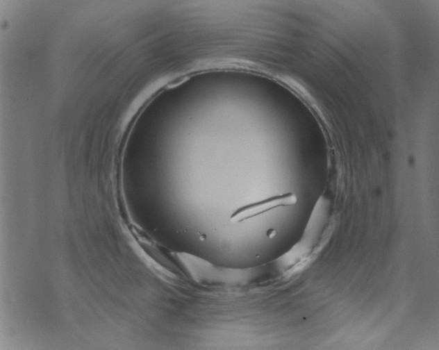 X0000073731438200608171217