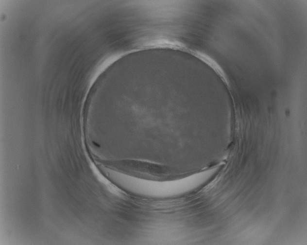 X0000073731439200608171217