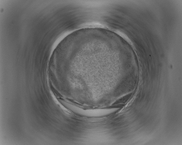 X0000073731440200608171218