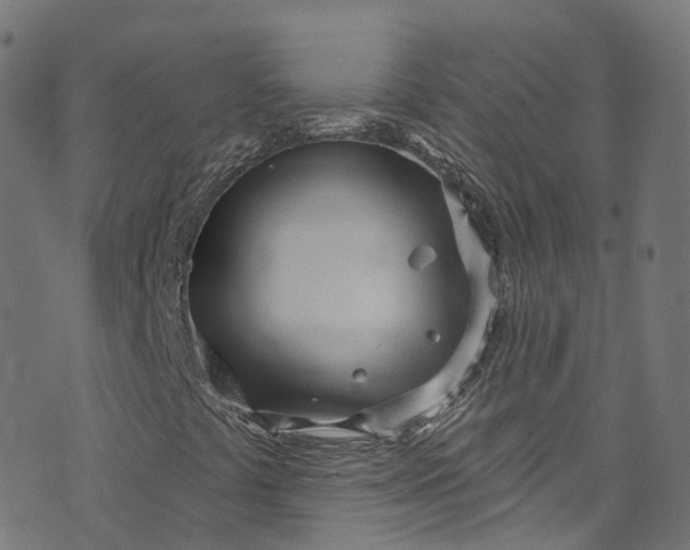 X0000073731441200608171217