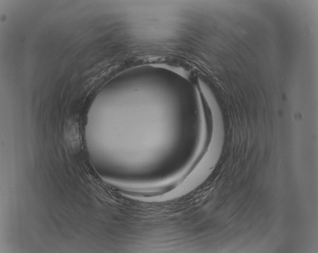 X0000073731442200608171217