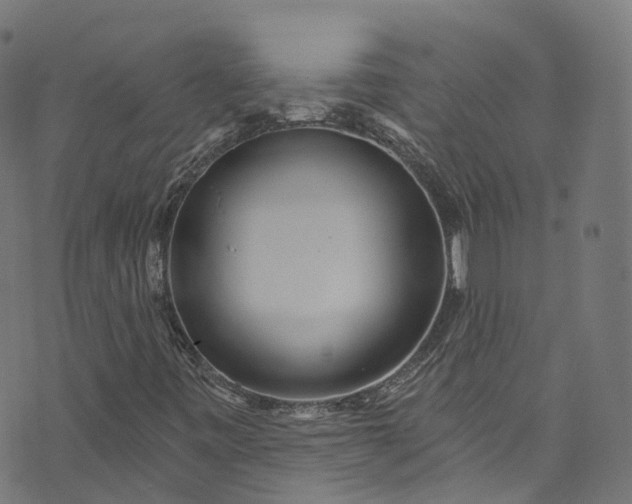 X0000073731443200608171217