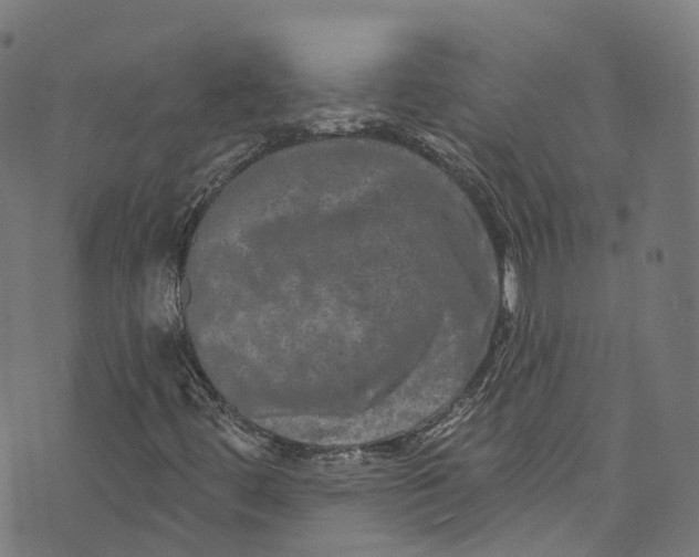 X0000073731444200608171217