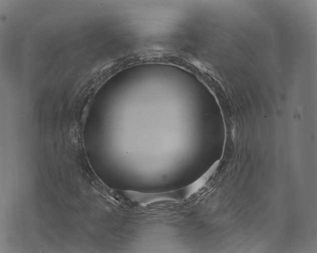 X0000073731445200608171217