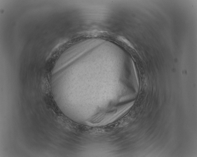 X0000073731446200608171217