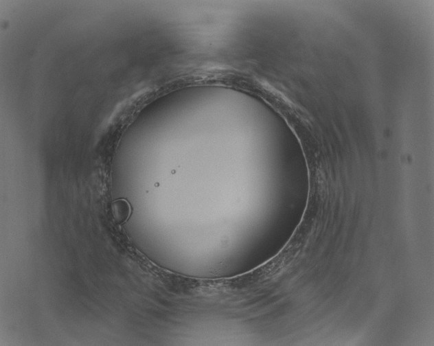 X0000073731447200608171217