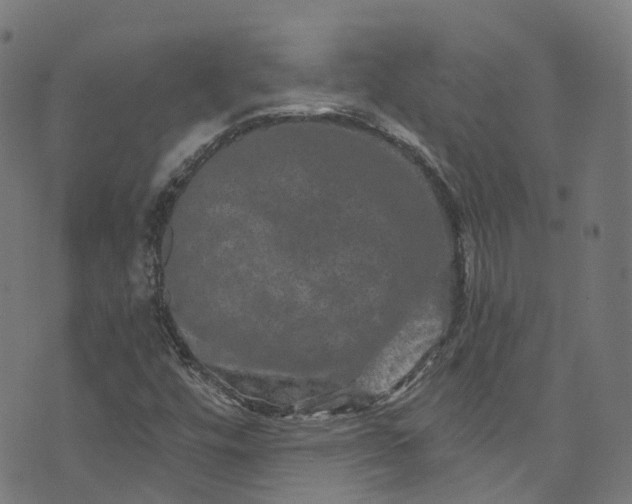 X0000073731448200608171217