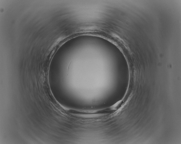 X0000073731449200608171217