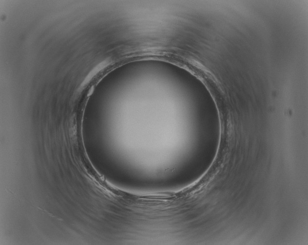 X0000073731450200608171217