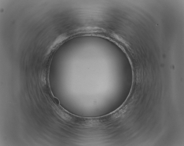 X0000073731451200608171217